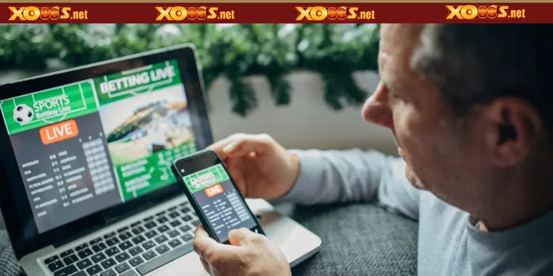 Kết hợp phân tích với Live Betting
