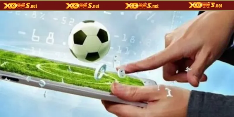 Lưu ý khi đặt kèo 1x2 để an toàn, đúng quyền lợi nhất